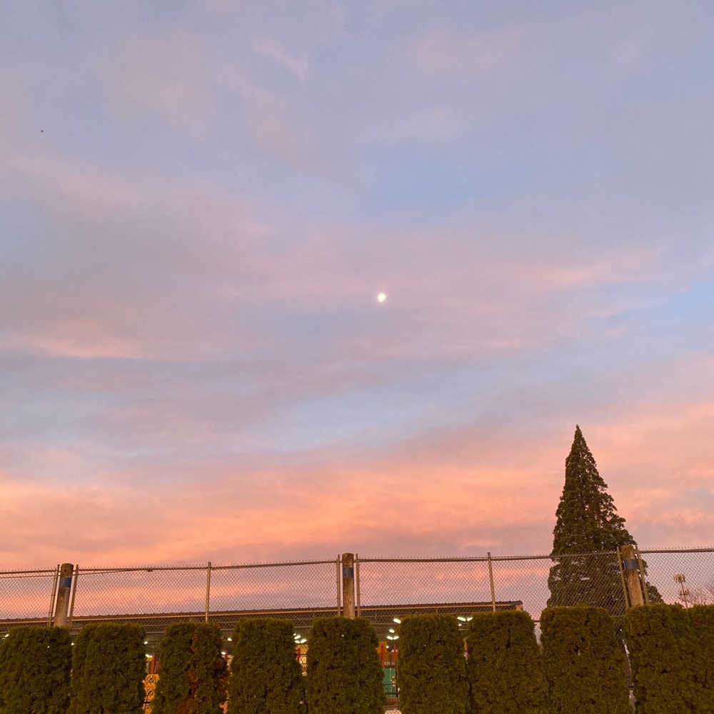 Meet your Posher, Isai